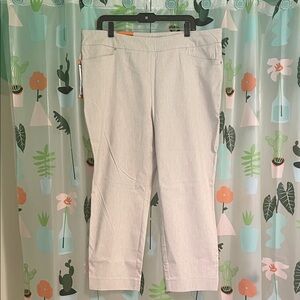 Hilary Radley Chic Light Cream Pants